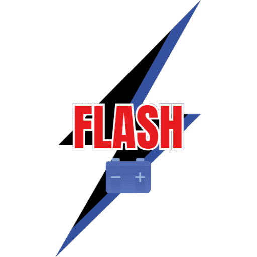 Distribuidora Flash